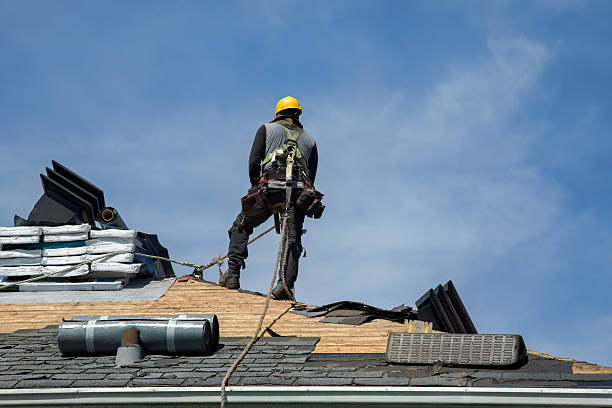 Professional Gutter Installation technician working in Alto, GA